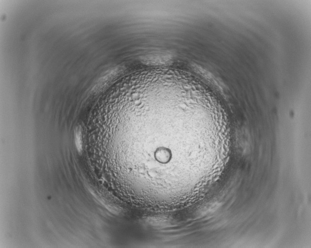 X0000059830069200510241431