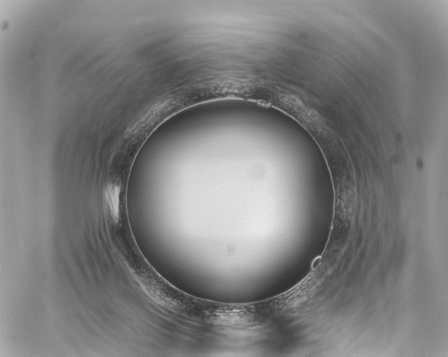 X0000059830070200510241431