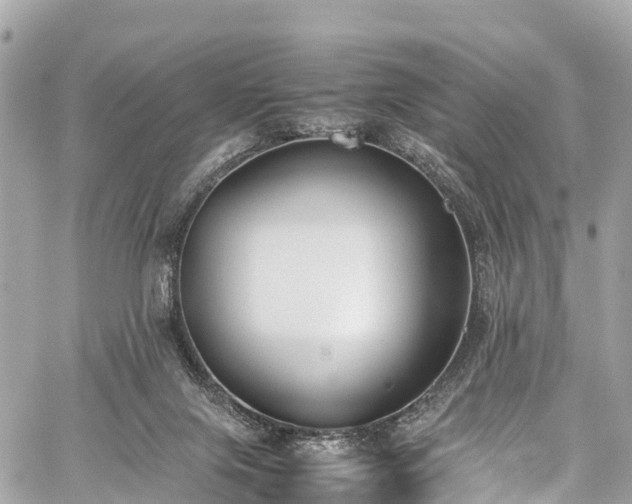 X0000059830071200510241432