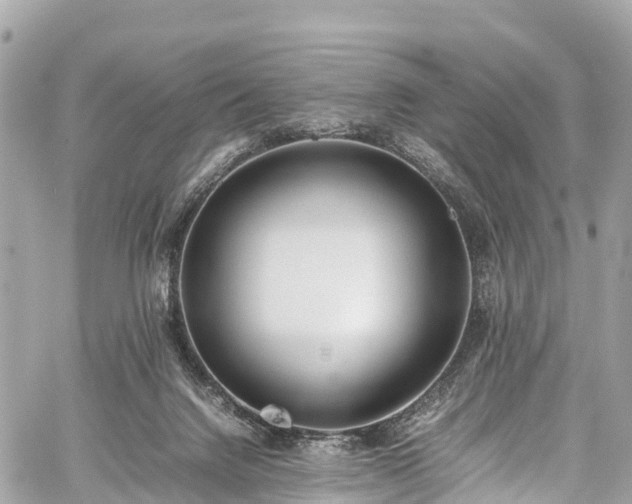 X0000059830072200510241432