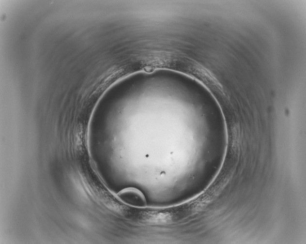 X0000059830073200510241432