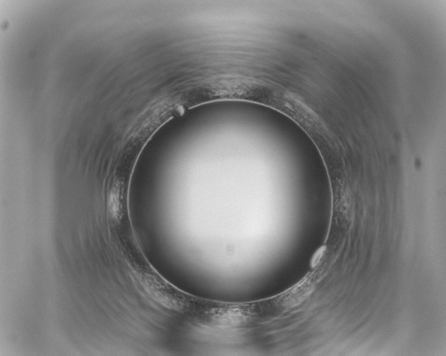 X0000059830074200510241432