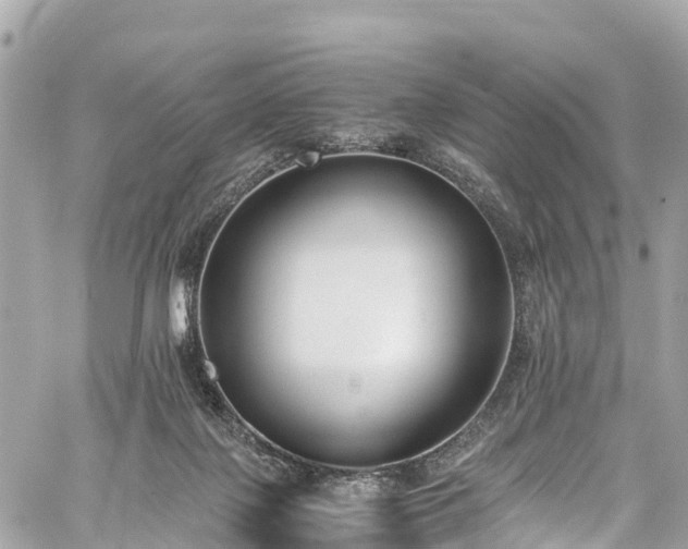 X0000059830075200510241432