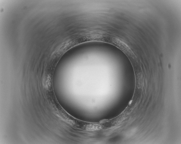 X0000059830077200510241432