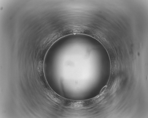 X0000059830078200510241432