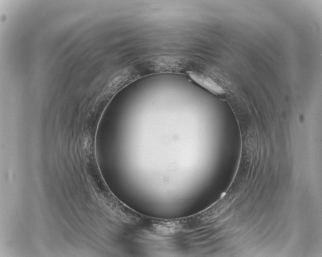 X0000059830079200510241432