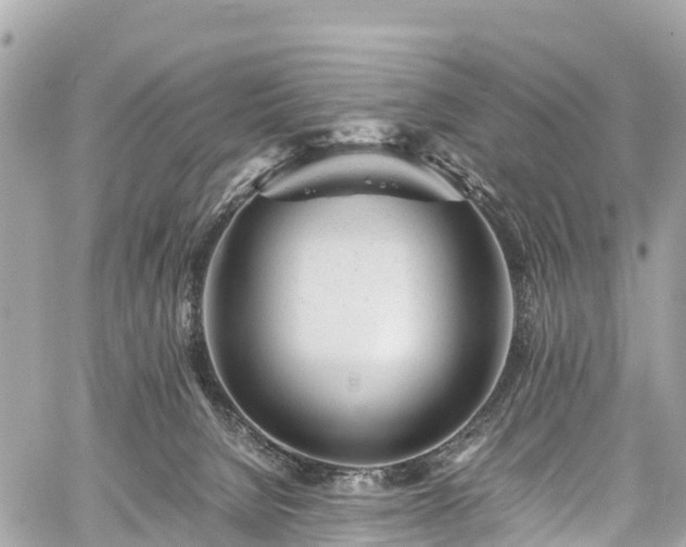 X0000059830080200510241432