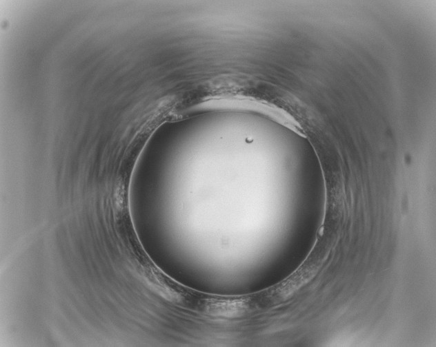 X0000059830081200510241432