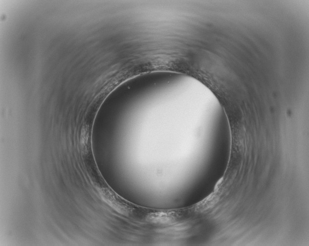 X0000059830082200510241432