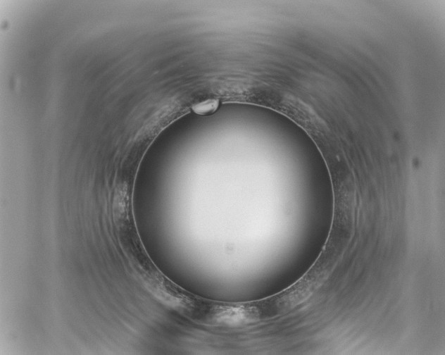 X0000059830083200510241432