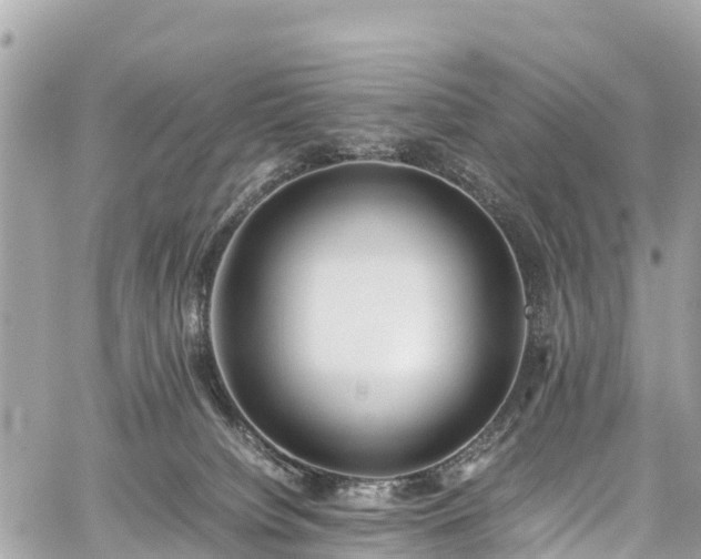 X0000059830084200510241432