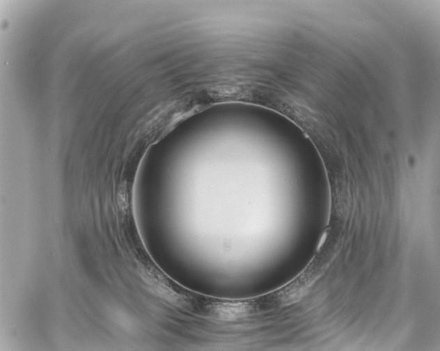 X0000059830085200510241432