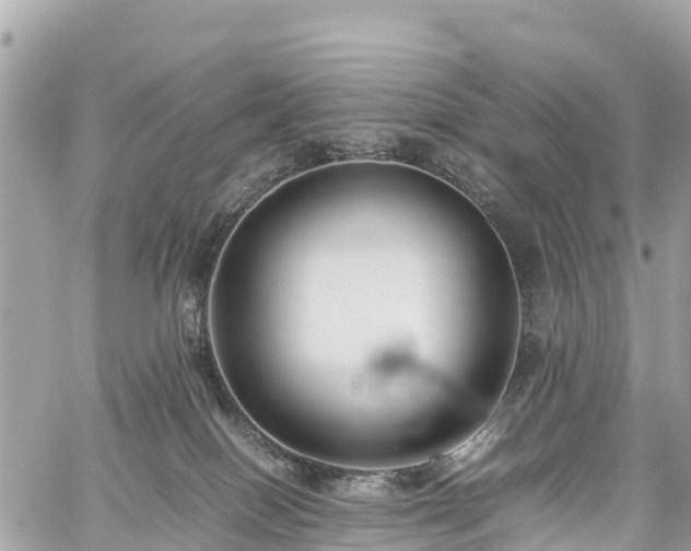 X0000059830086200510241432