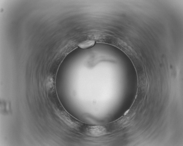 X0000059830087200510241432