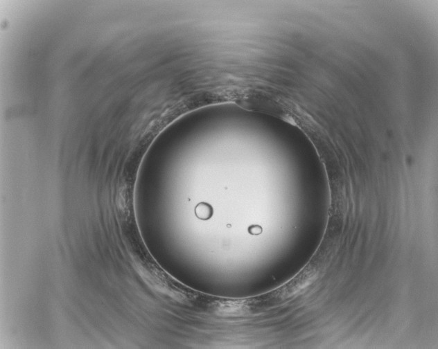 X0000059830088200510241432