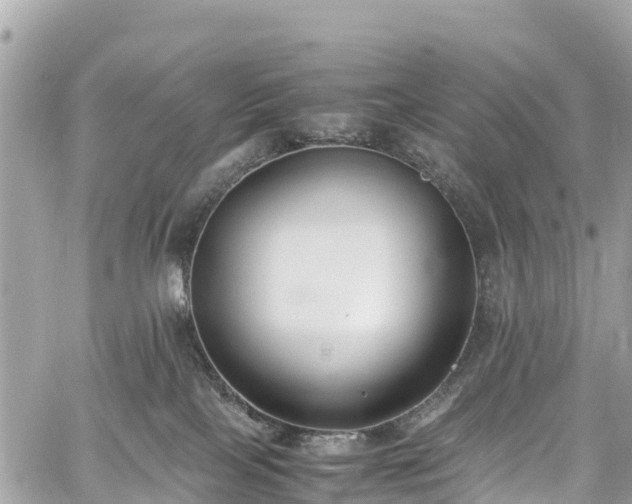 X0000059830089200510241432