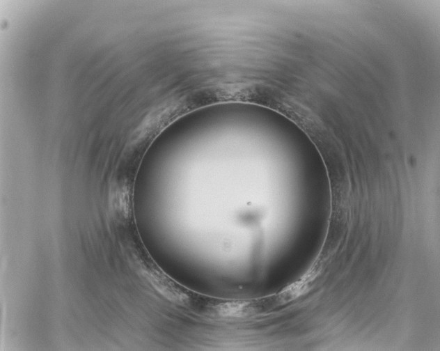 X0000059830090200510241432