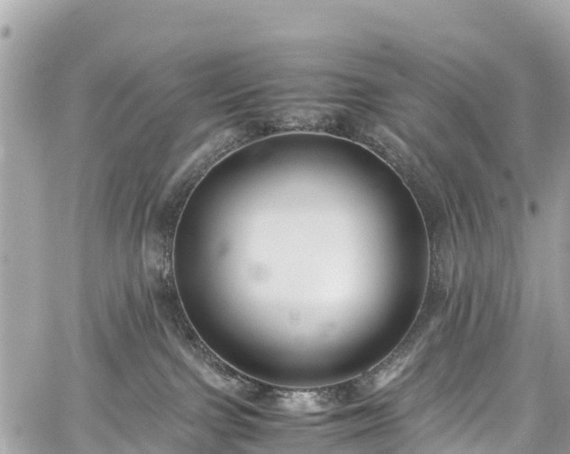 X0000059830091200510241432