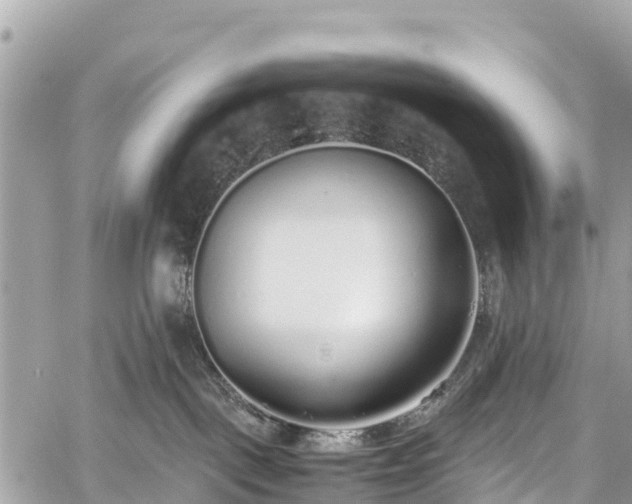 X0000059830093200510241432