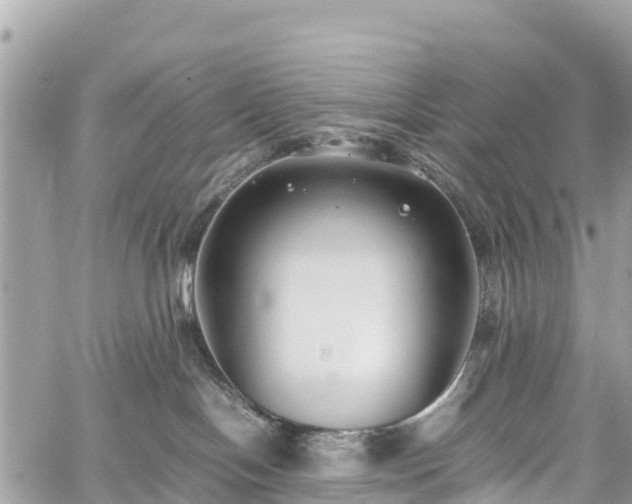 X0000059830094200510241432