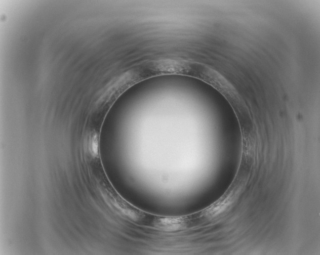 X0000059830095200510241432