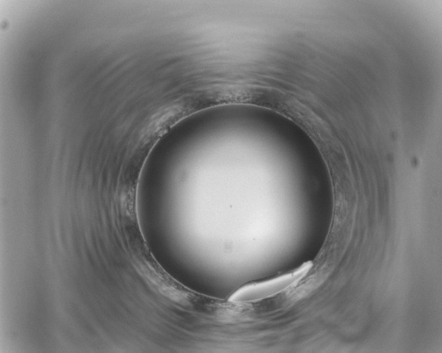 X0000059830096200510241432