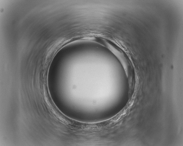 X0000059830097200510241431