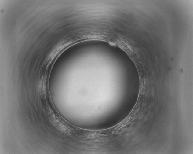 X0000059830098200510241431