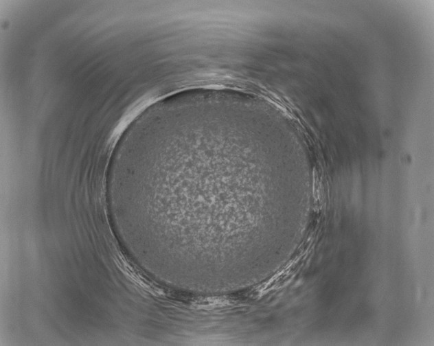 X0000059830099200510241431