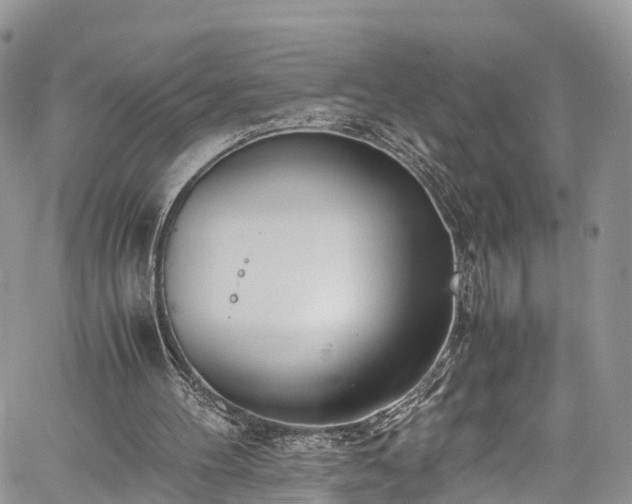 X0000059830100200510241431