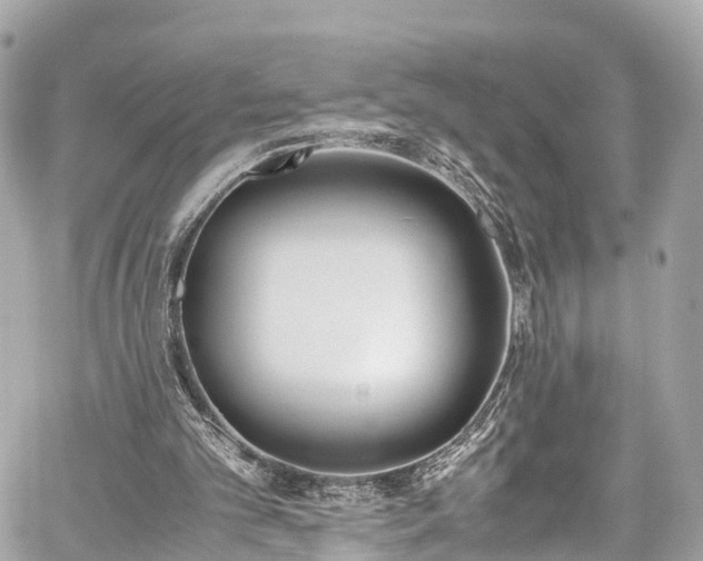 X0000059830101200510241431