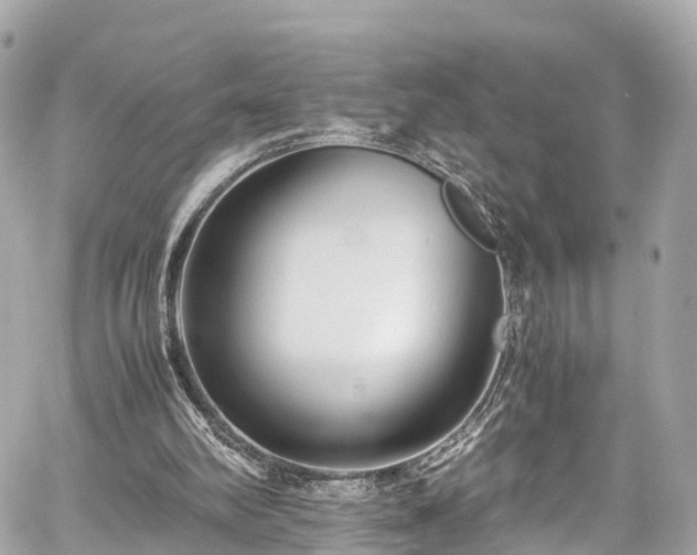 X0000059830102200510241431