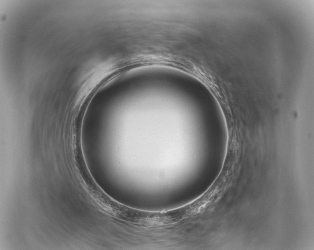 X0000059830103200510241431