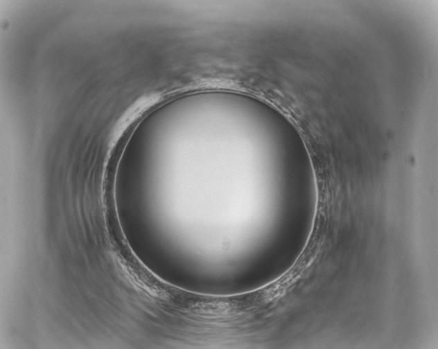 X0000059830104200510241431