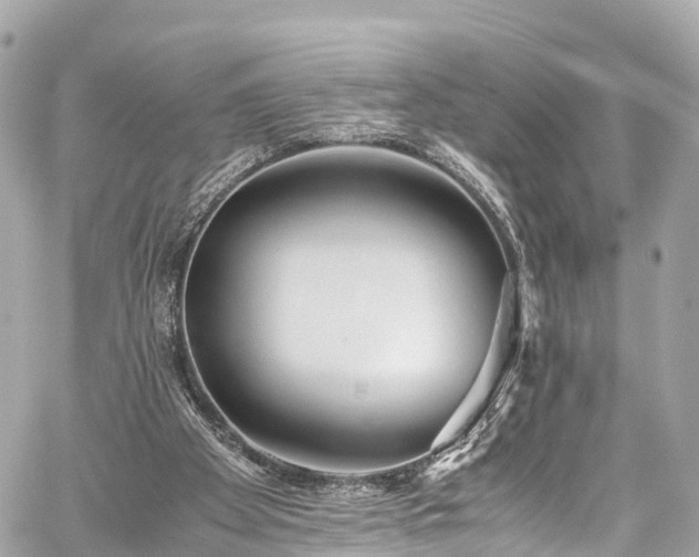 X0000059830105200510241431