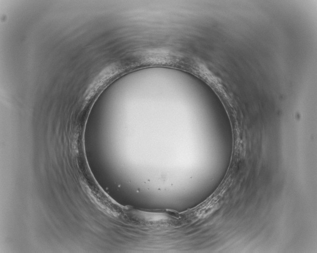 X0000059830106200510241431