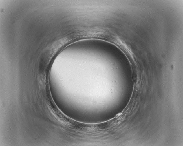 X0000059830107200510241431