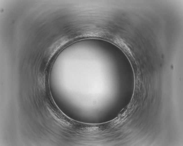 X0000059830108200510241431