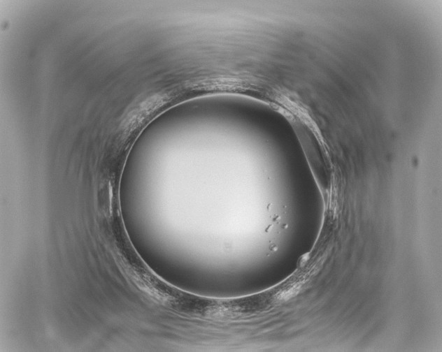 X0000059830109200510241431