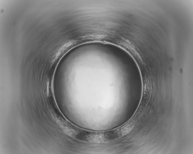 X0000059830110200510241431