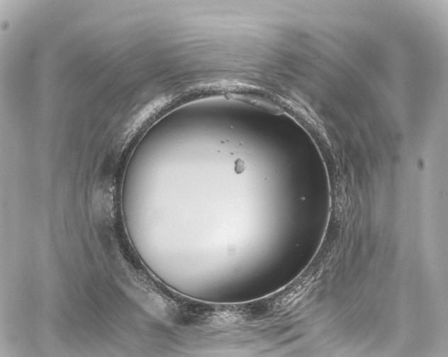 X0000059830111200510241431