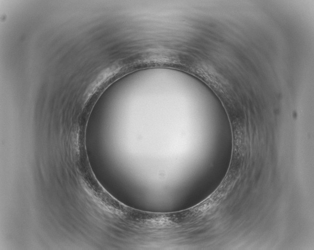 X0000059830112200510241431