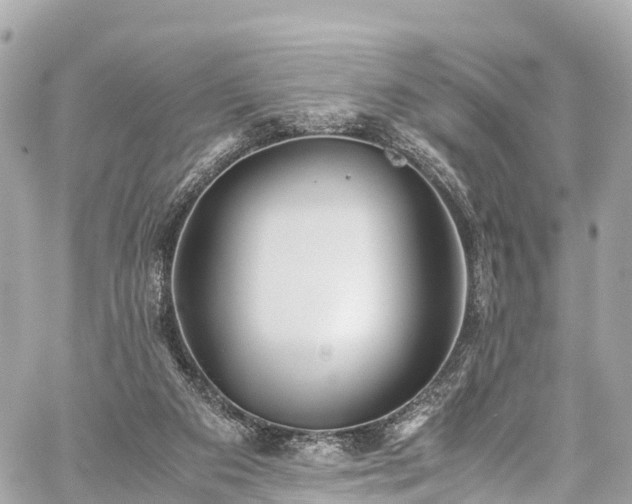 X0000059830113200510241431