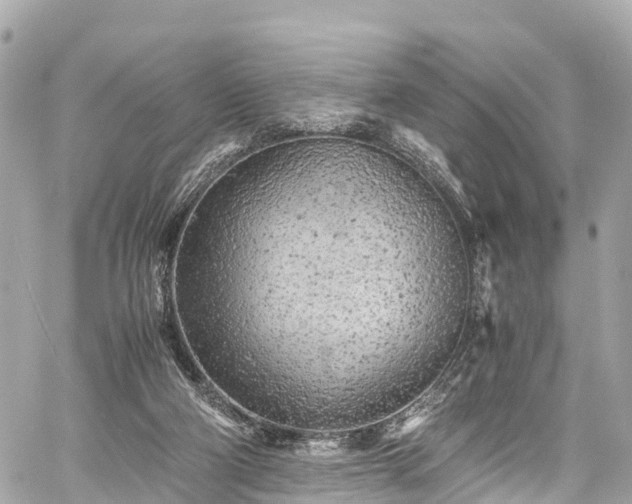 X0000059830114200510241431