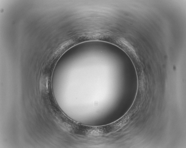 X0000059830115200510241431