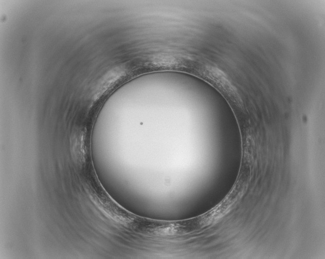 X0000059830116200510241431