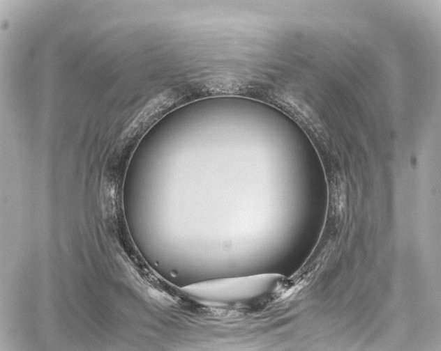 X0000059830117200510241431