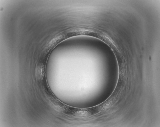 X0000059830119200510241431