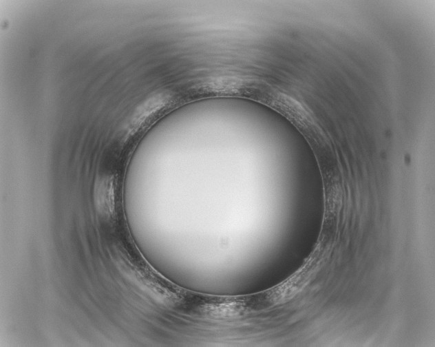 X0000059830120200510241431