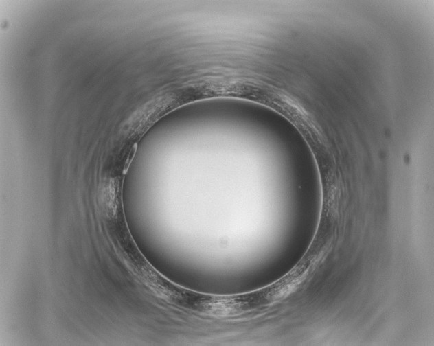 X0000059830121200510241431